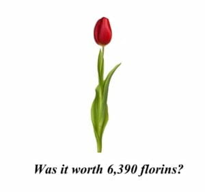 A red tulip with th words "was it worth 6,390 florins